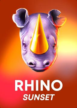 Rhino Sunset