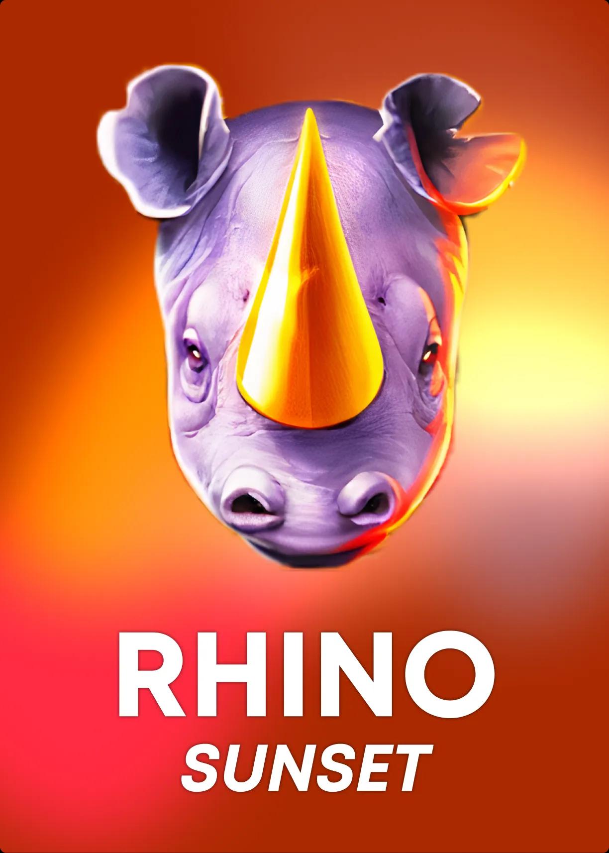 Rhino Sunset